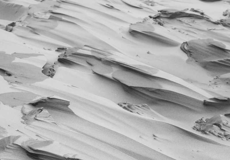 First Time in a Habitus Group?